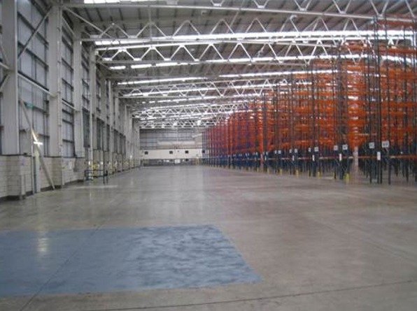 Immanis, Northampton